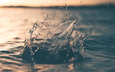 Water Suppliers